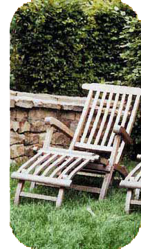 bild_zum_thema